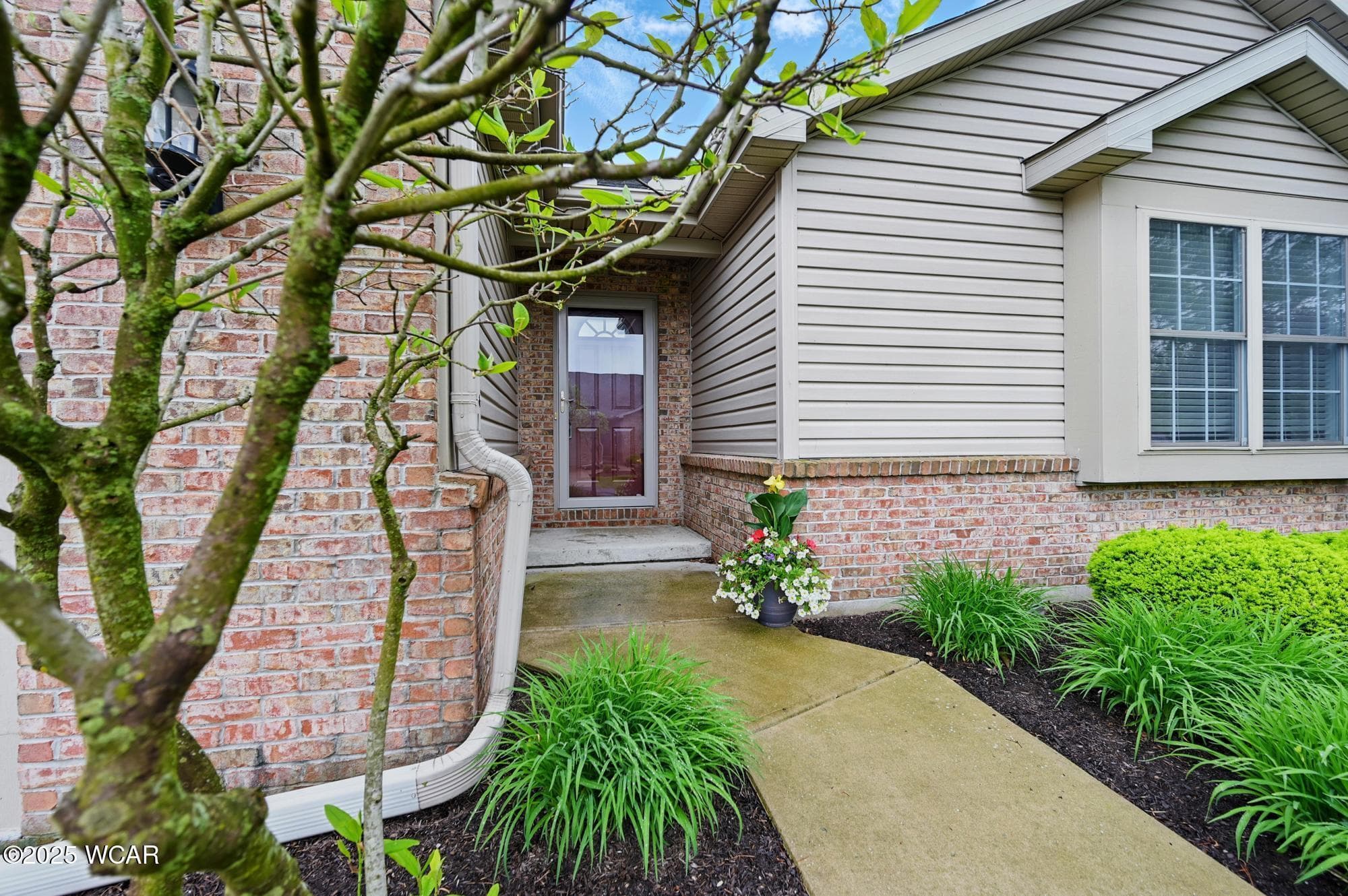 295 Brookview photo 3