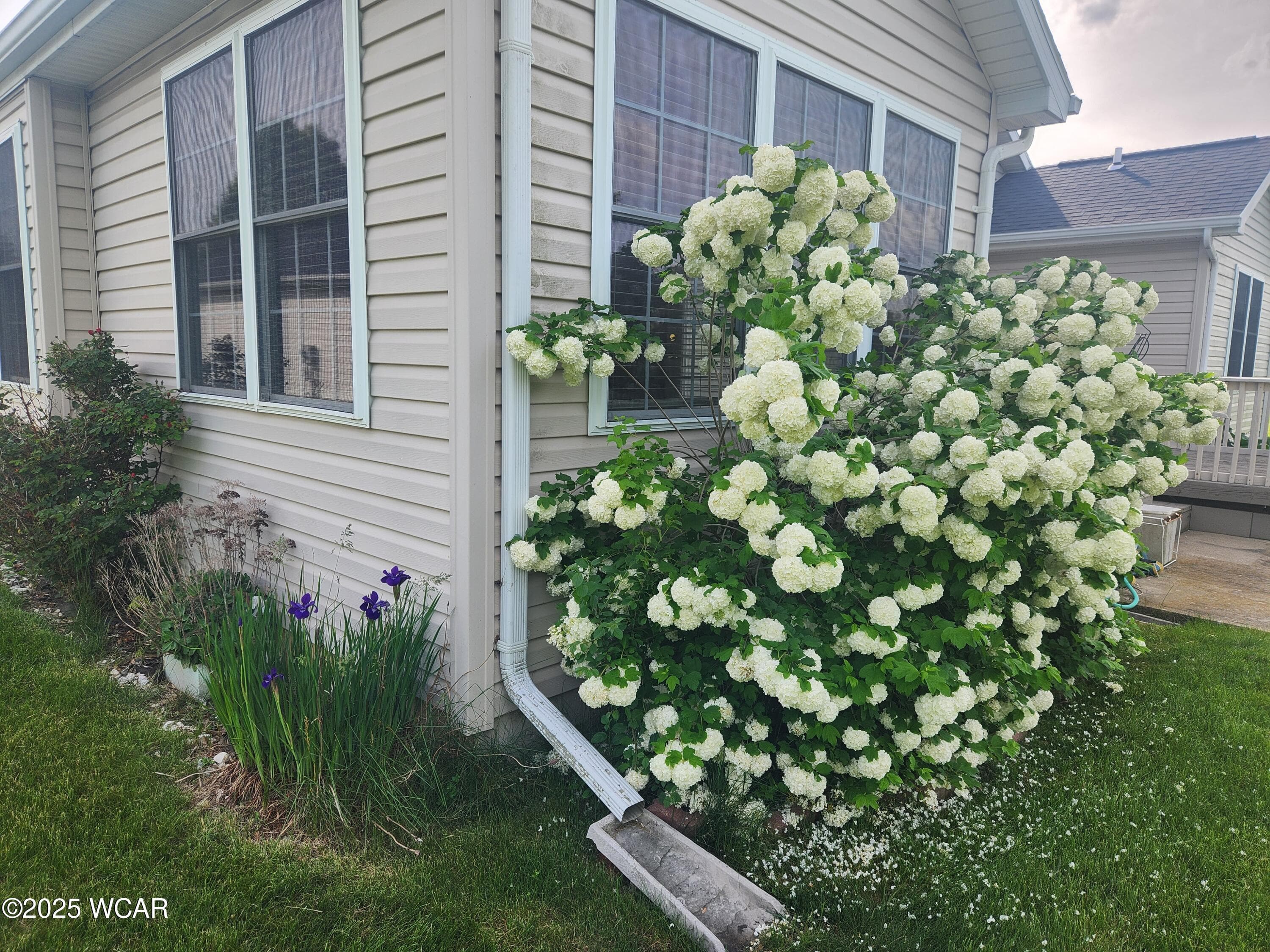 3529 Camden photo 4