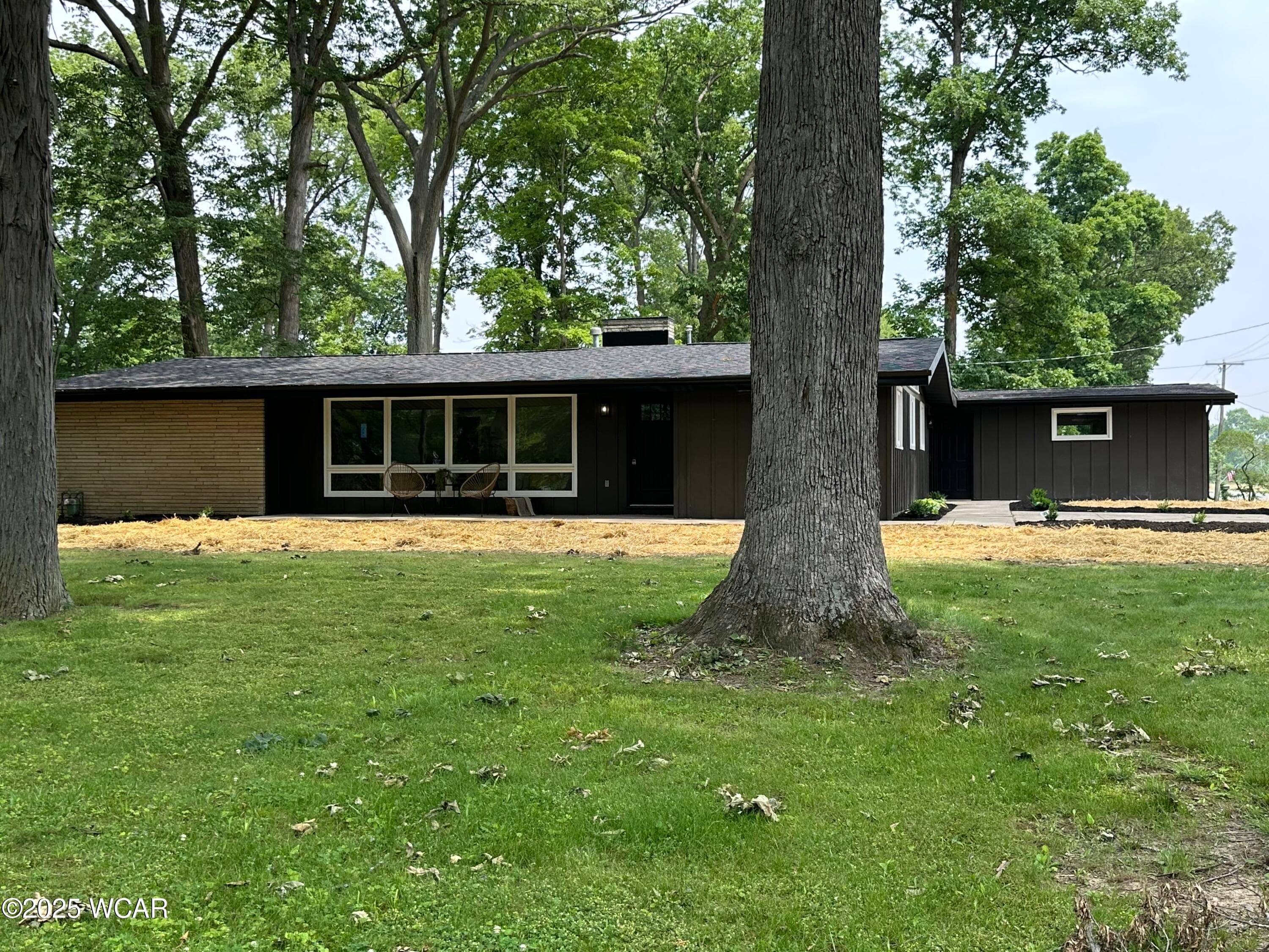 1271 Forest photo 3
