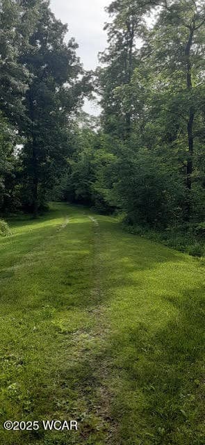 3065 County Road 205 photo 5