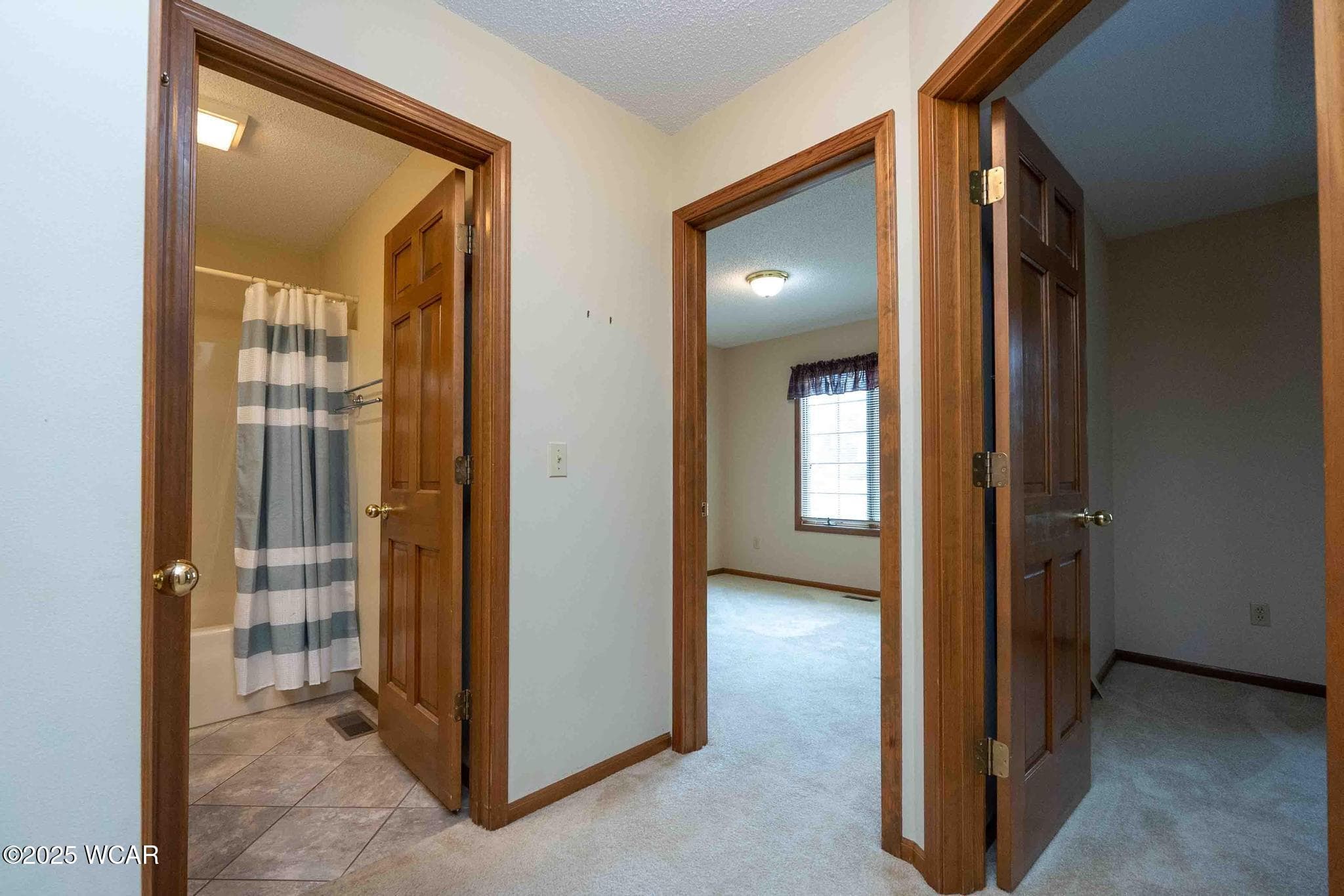 81 Riley Creek photo 2