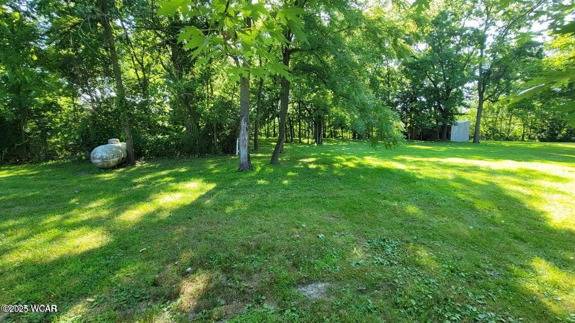 9917 Rd 171 photo 5