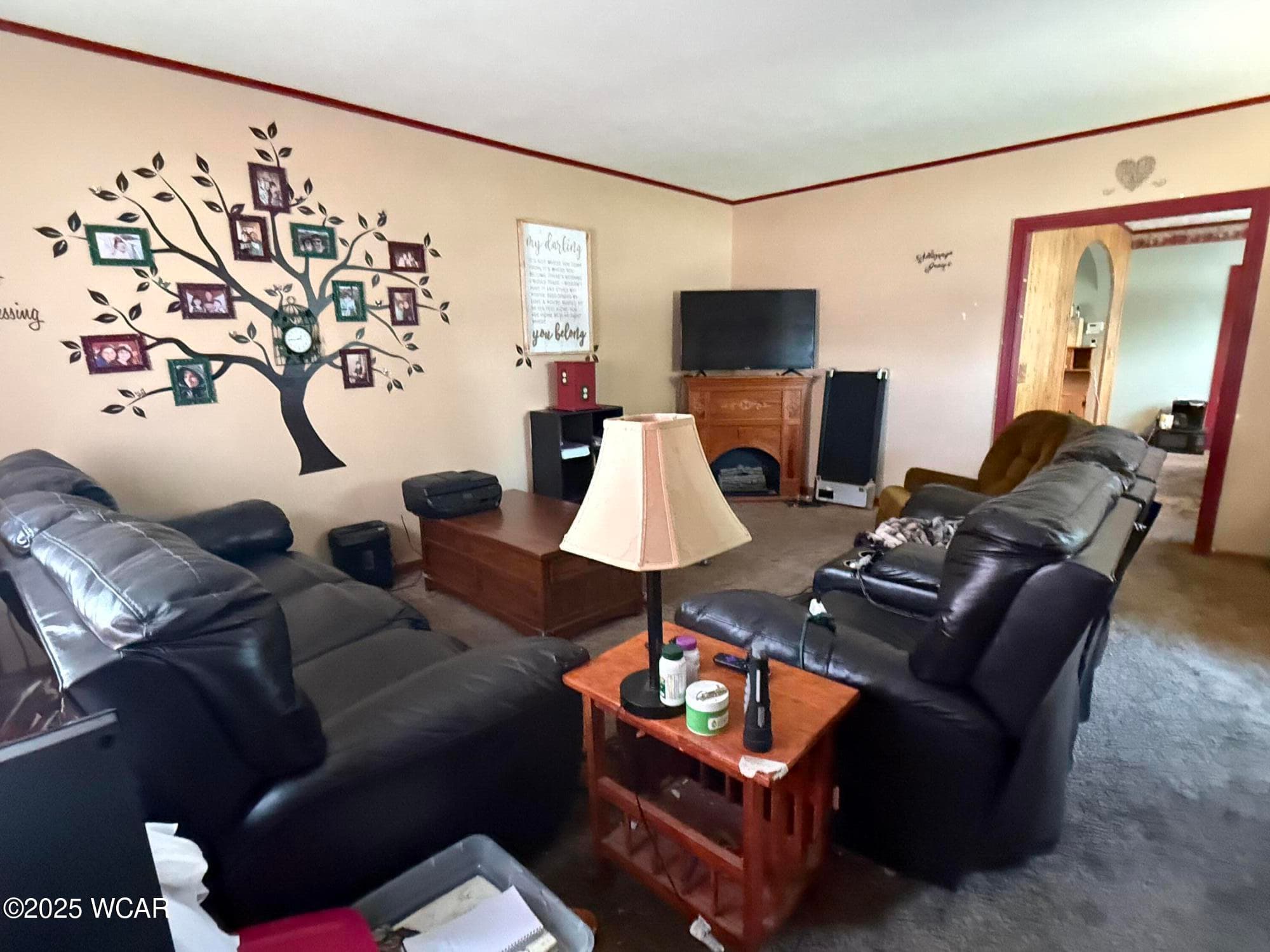 103 Bonnewitz photo 3