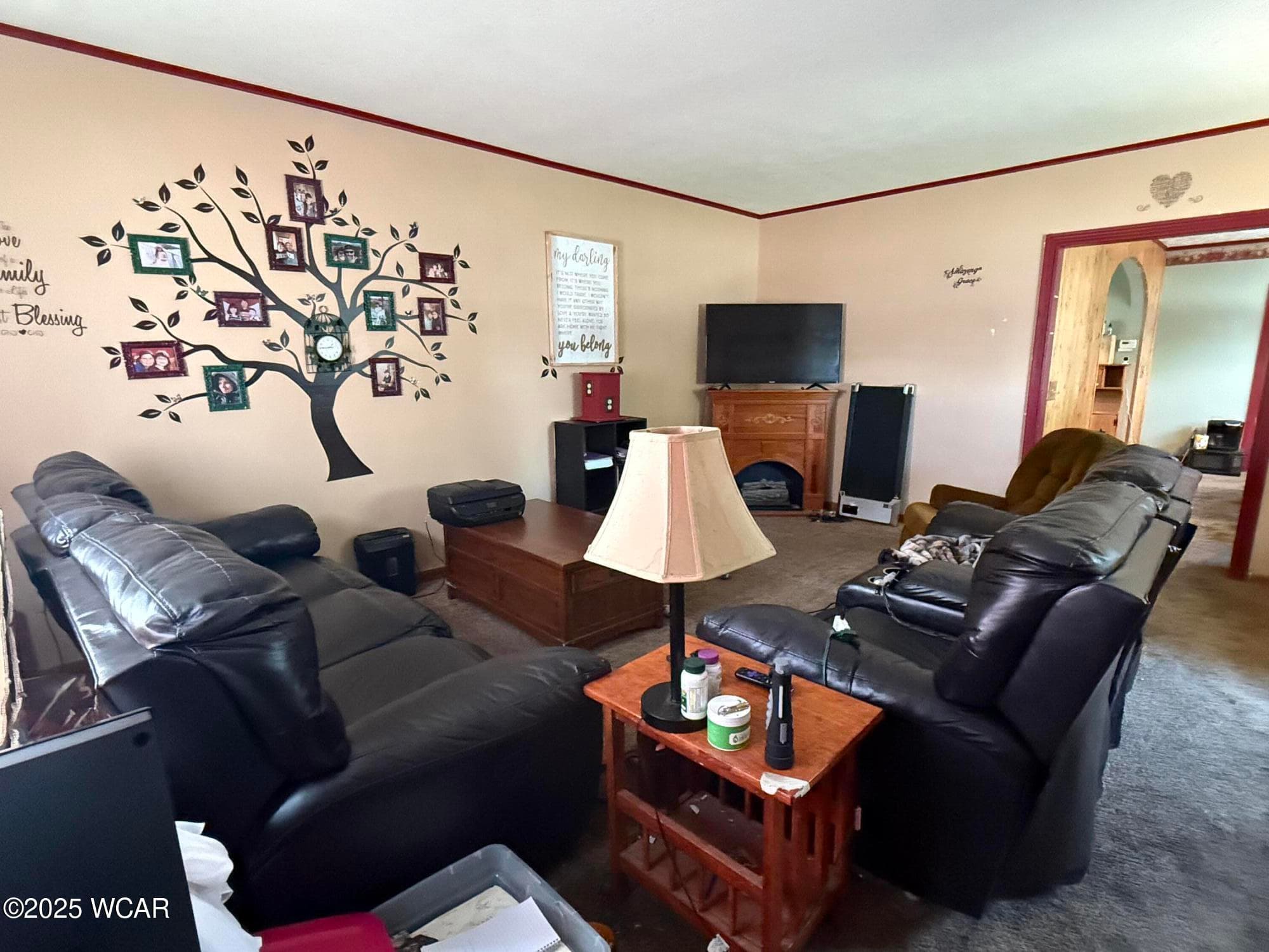 103 Bonnewitz photo 4