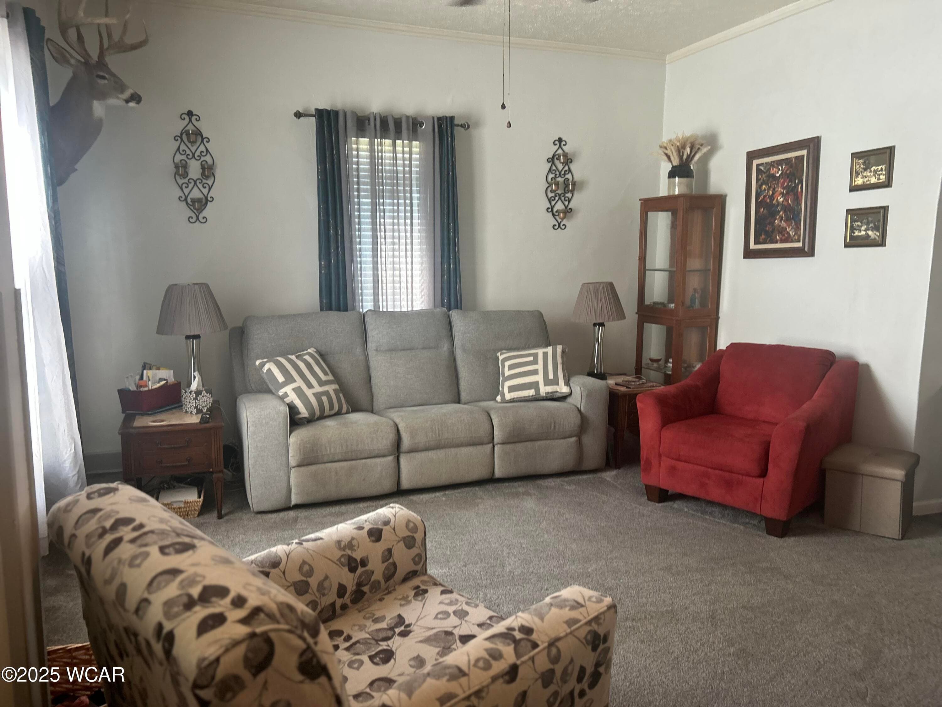 458 Columbus photo 3
