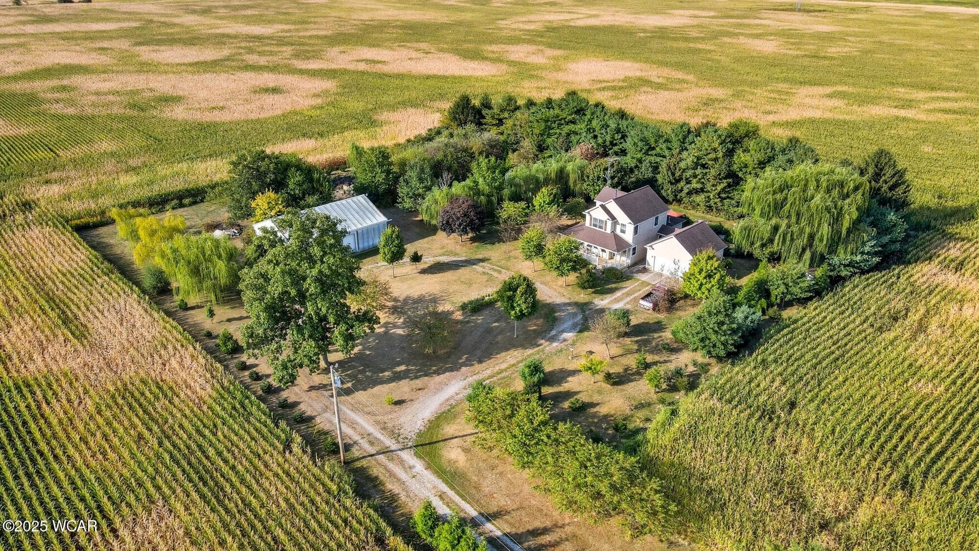 16818 Southland photo 2