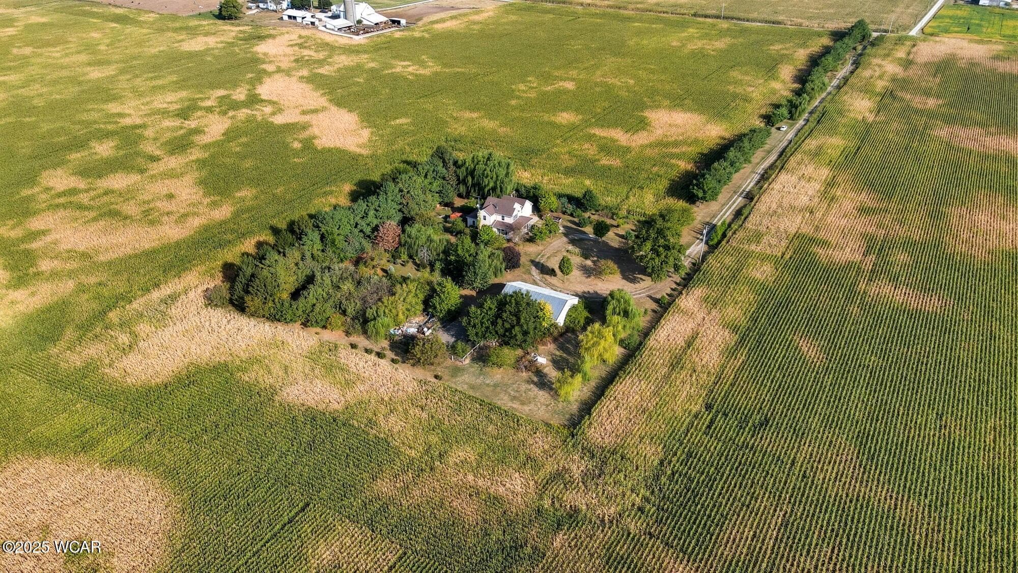 16818 Southland photo 3