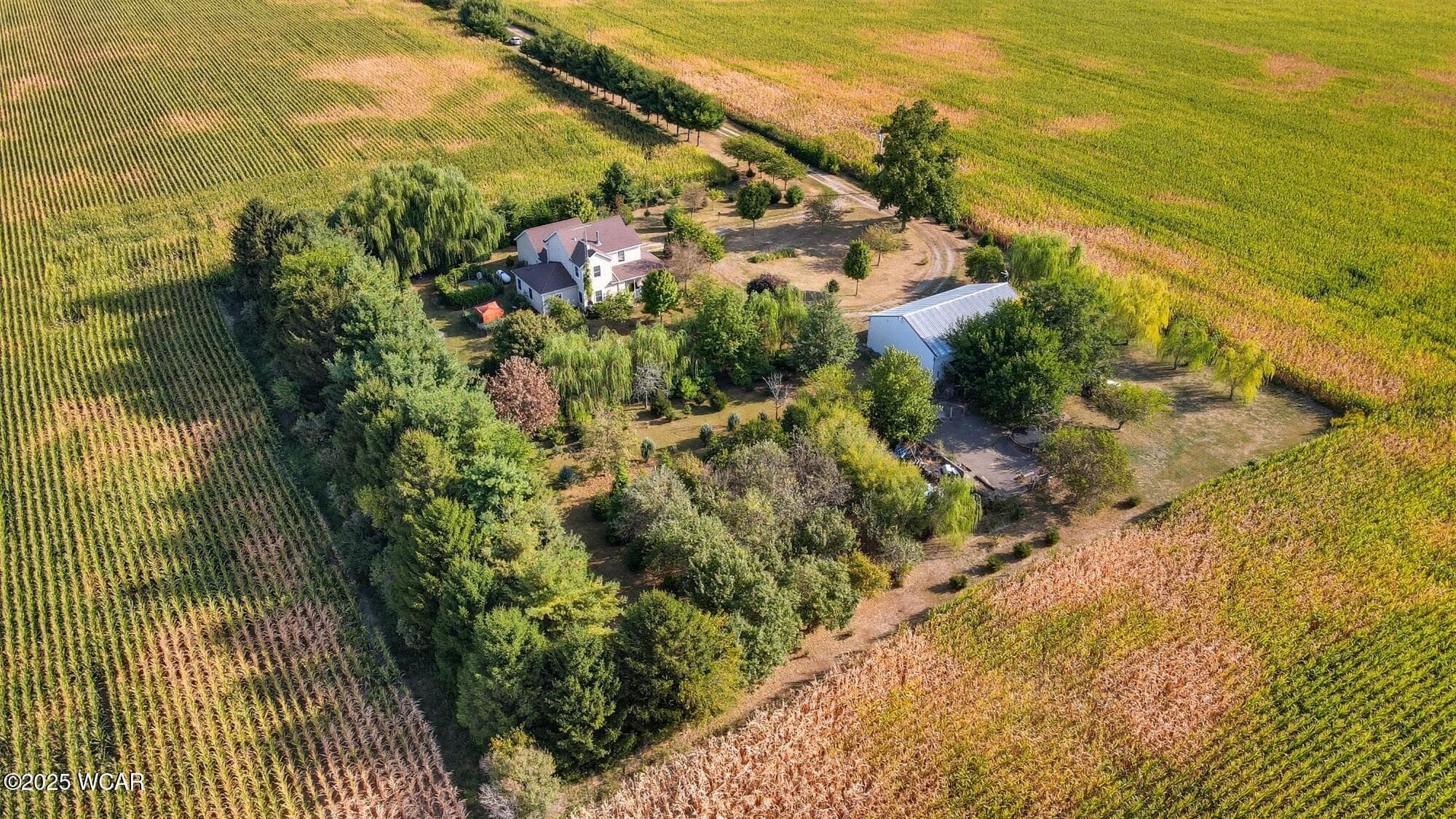 16818 Southland photo 5