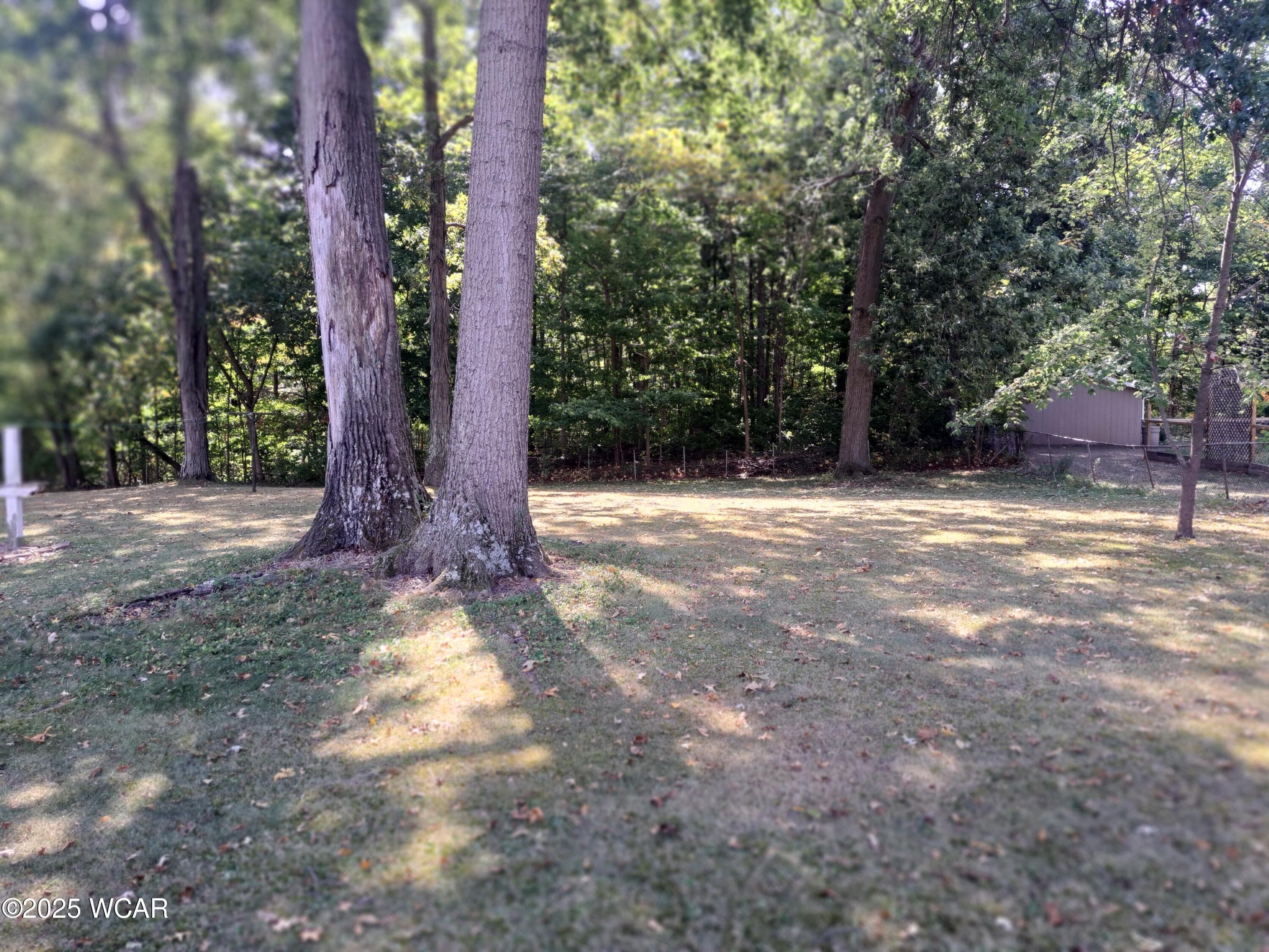 9235 Bice photo 5