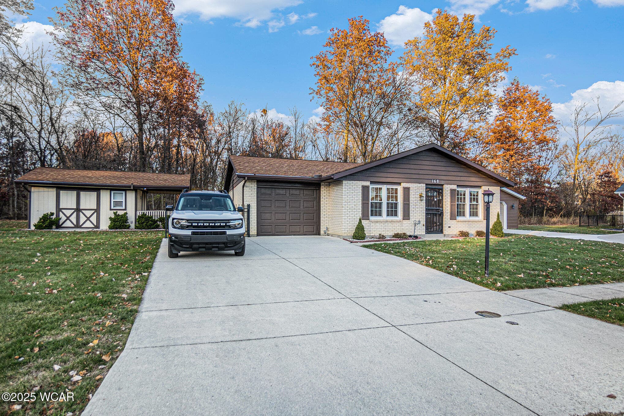 168 Lyre Bird photo 3