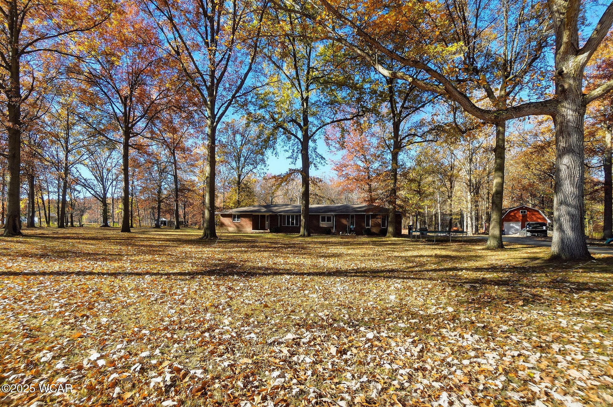 11785 Rd 171 photo 3