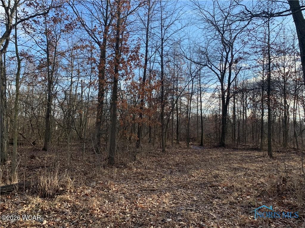 575 Cleveland photo 4