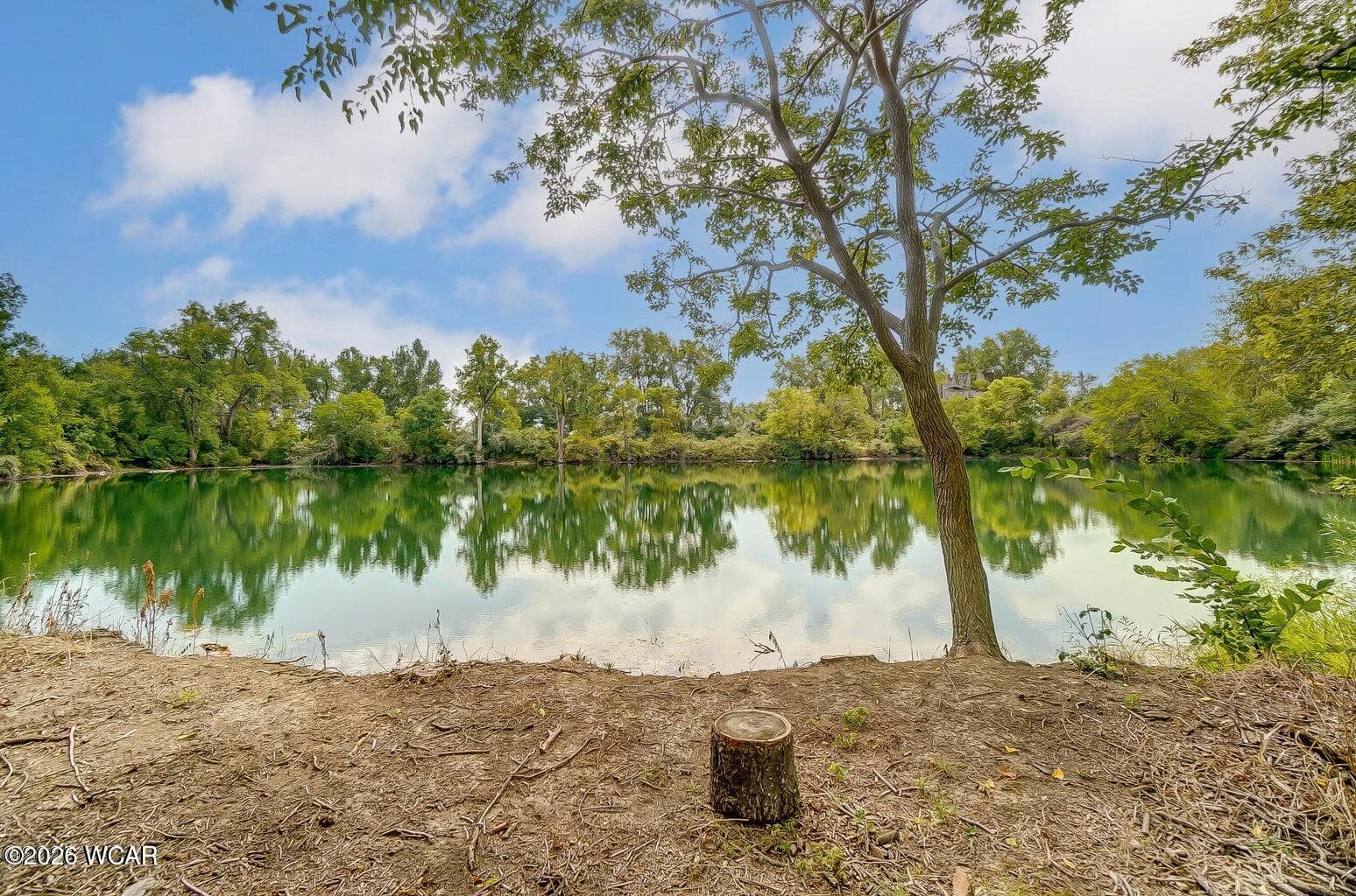 10148 Dog Creek photo 3