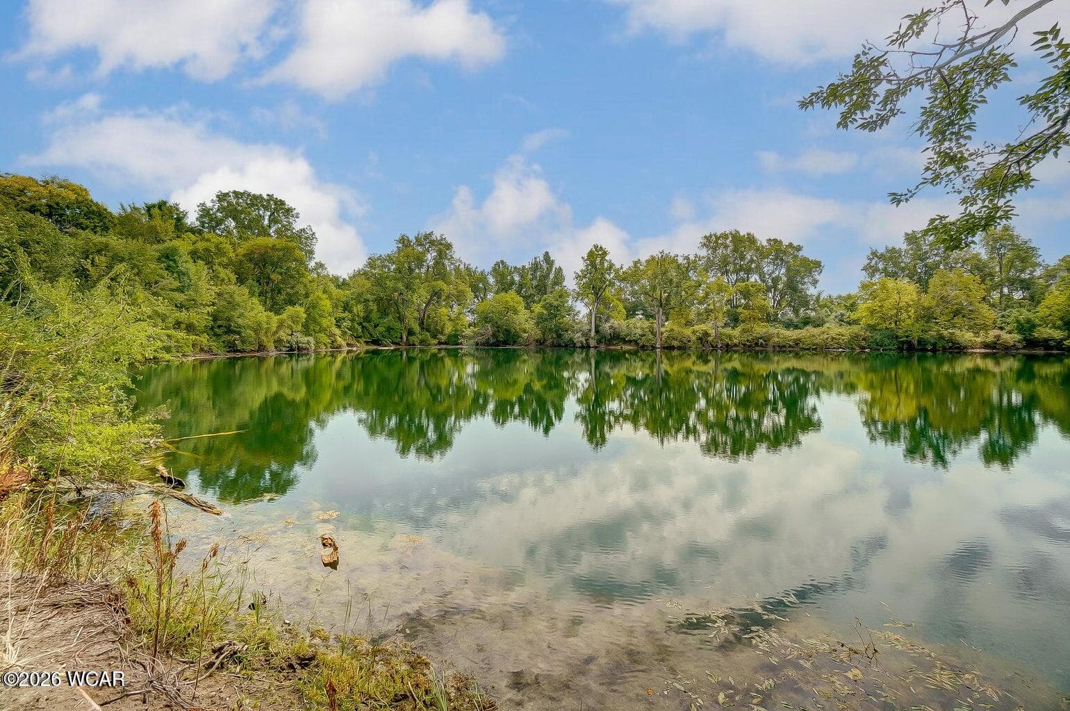 10148 Dog Creek photo 4