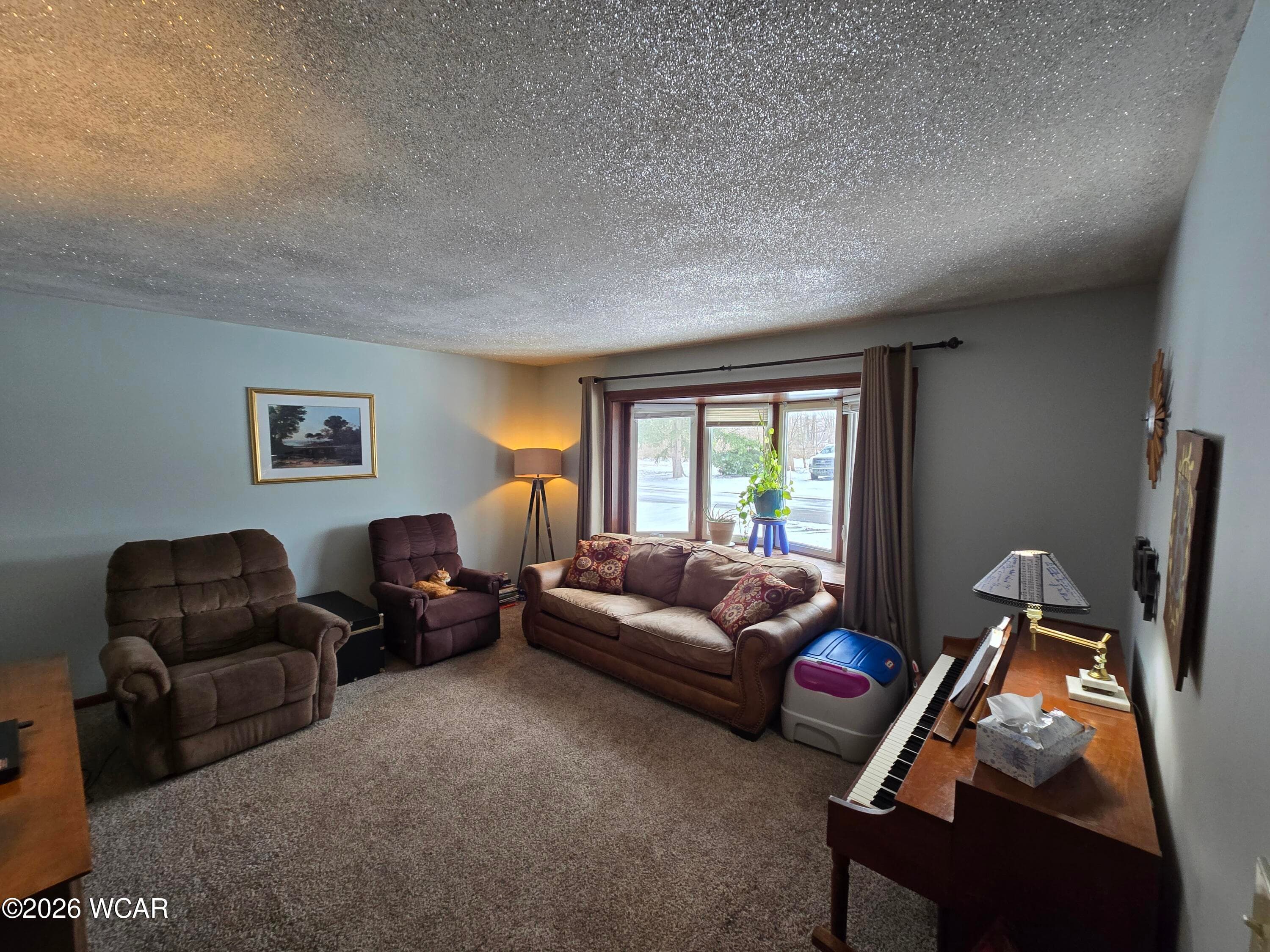 411 E Eliza St photo 5
