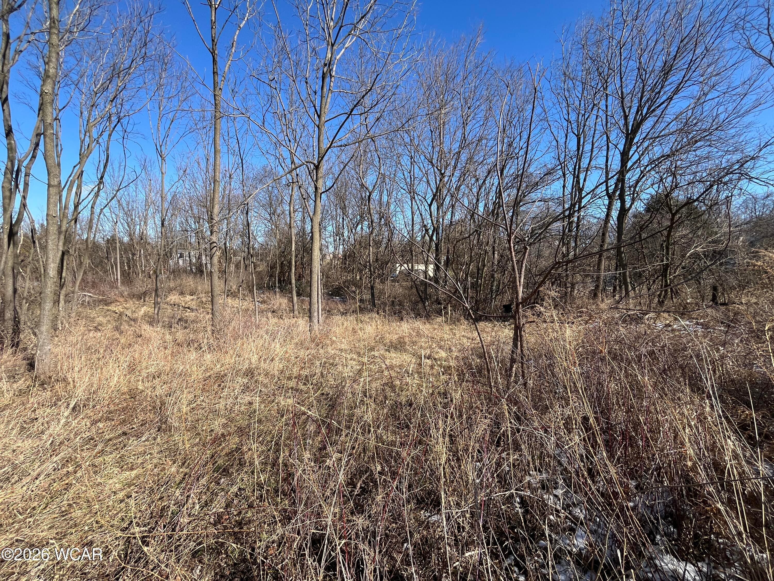 0 Spring photo 5