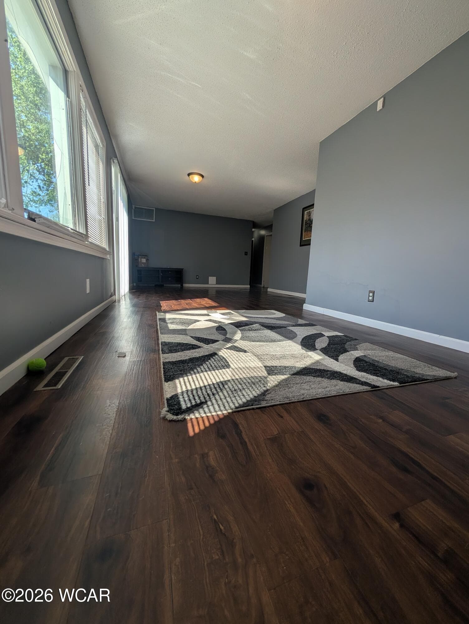 708 Gloria photo 5