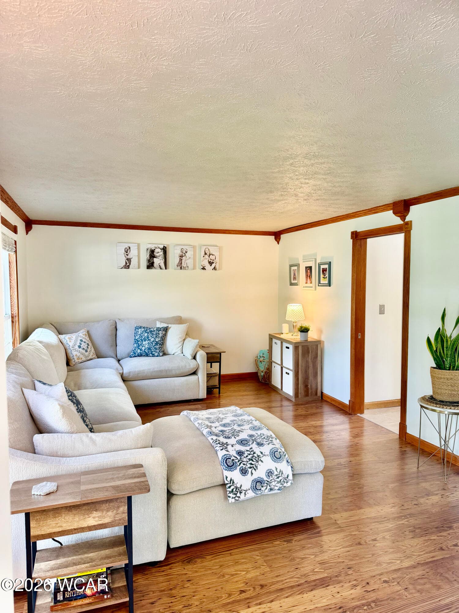 313 Cottonwood photo 4