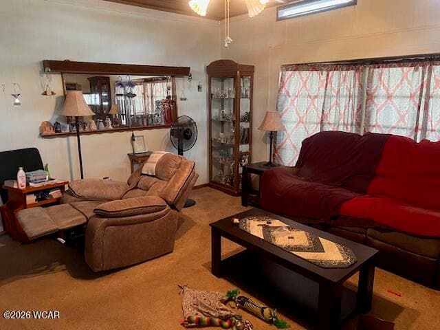 122 Cottonwood photo 5
