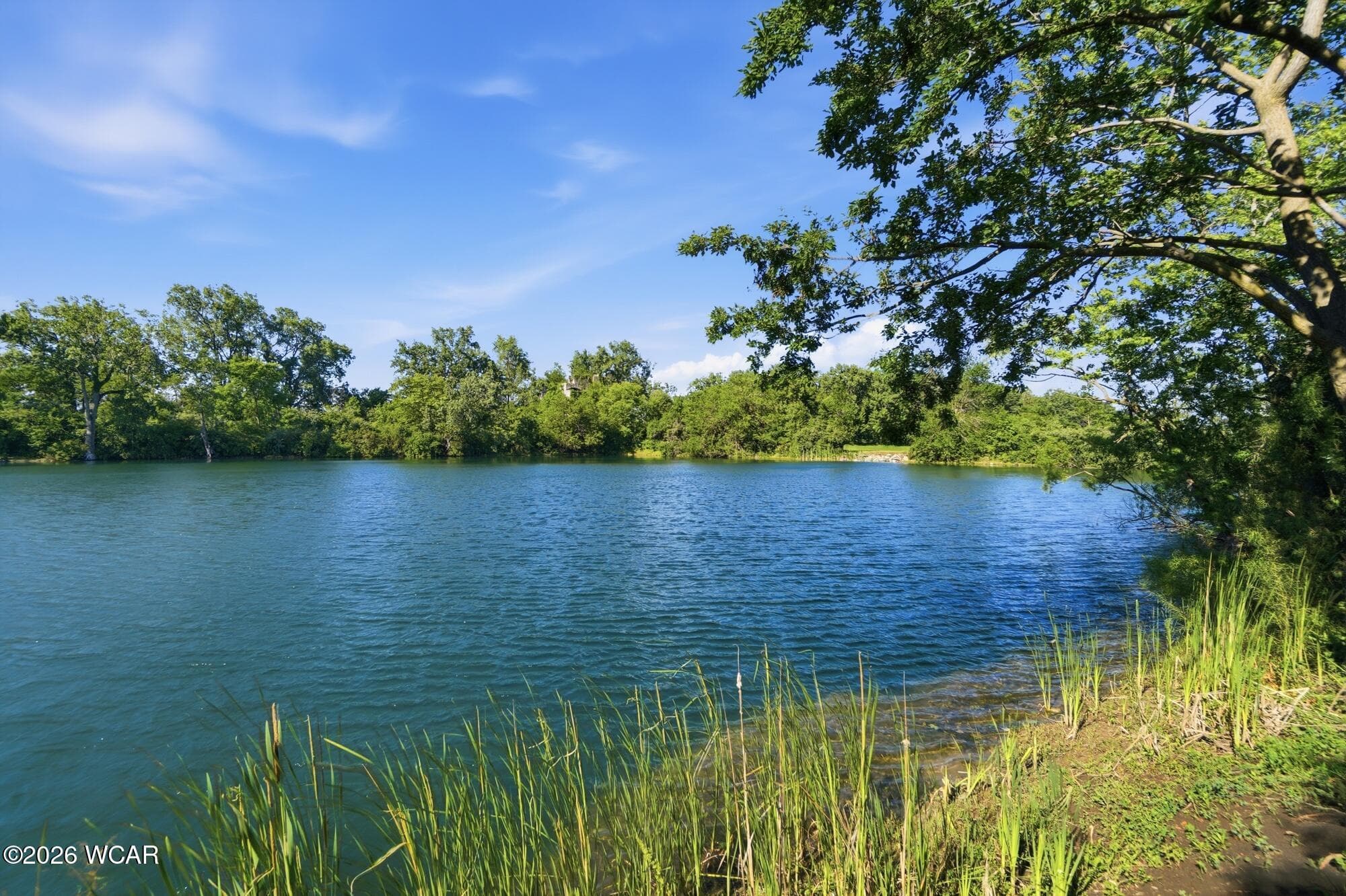 TBD Dog Creek photo 4