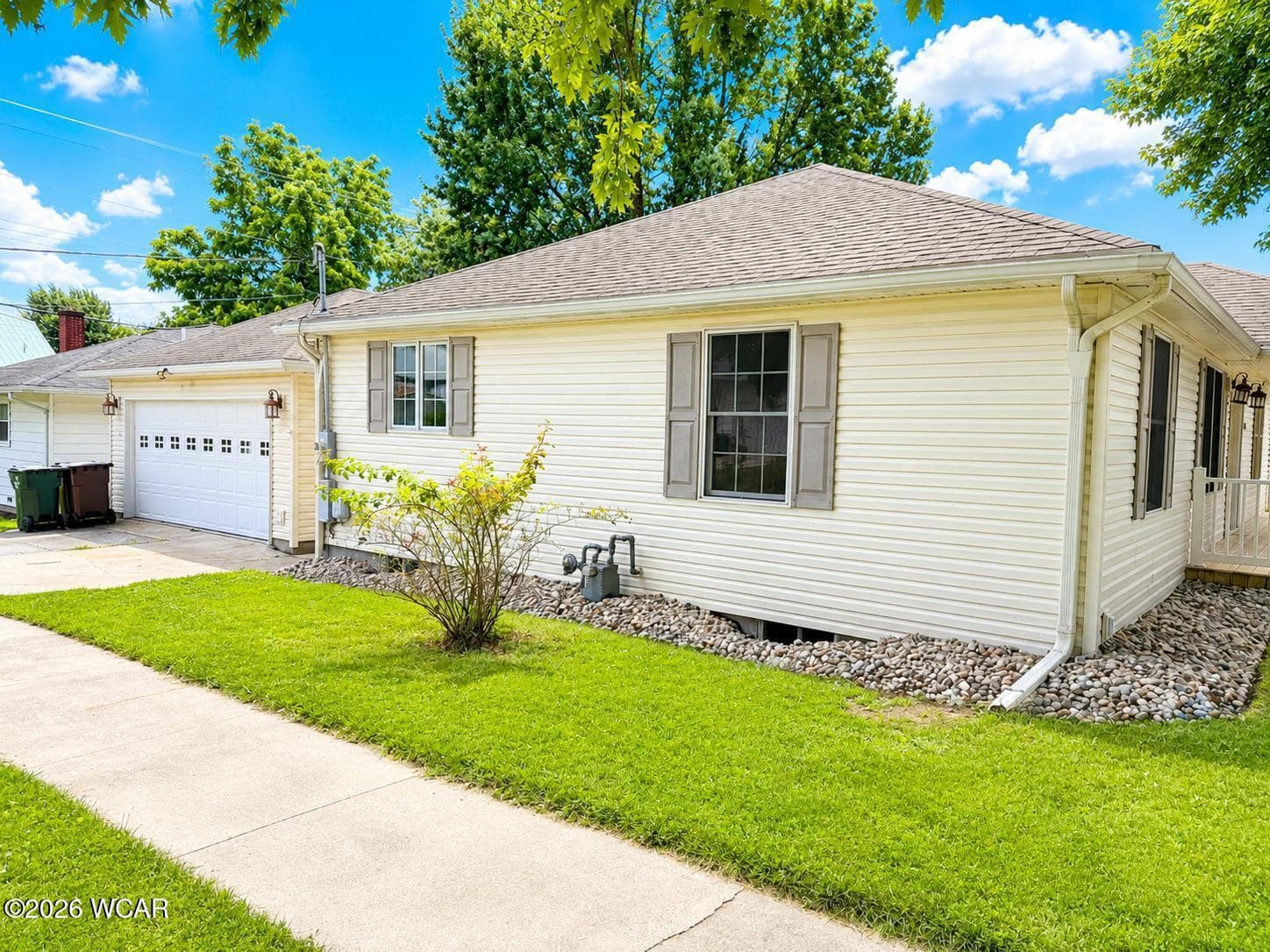 232 Cherry photo 2