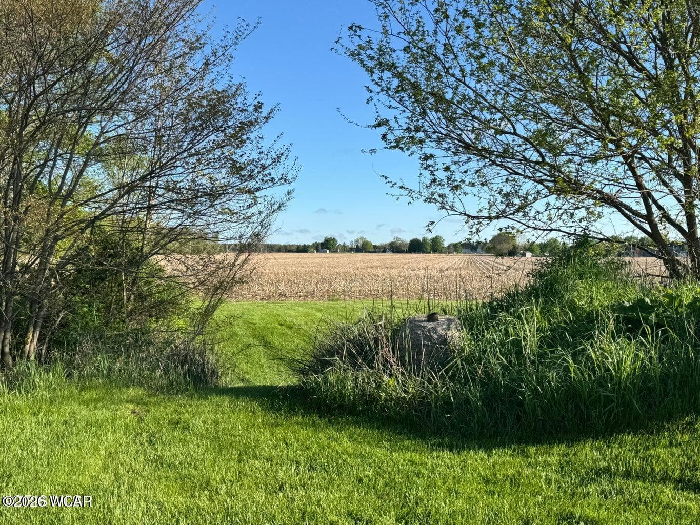 0 High photo 3