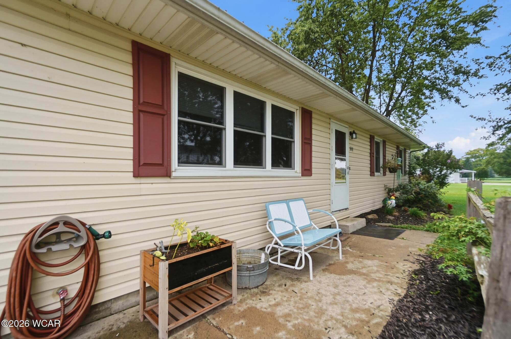 311 Bellis photo 4