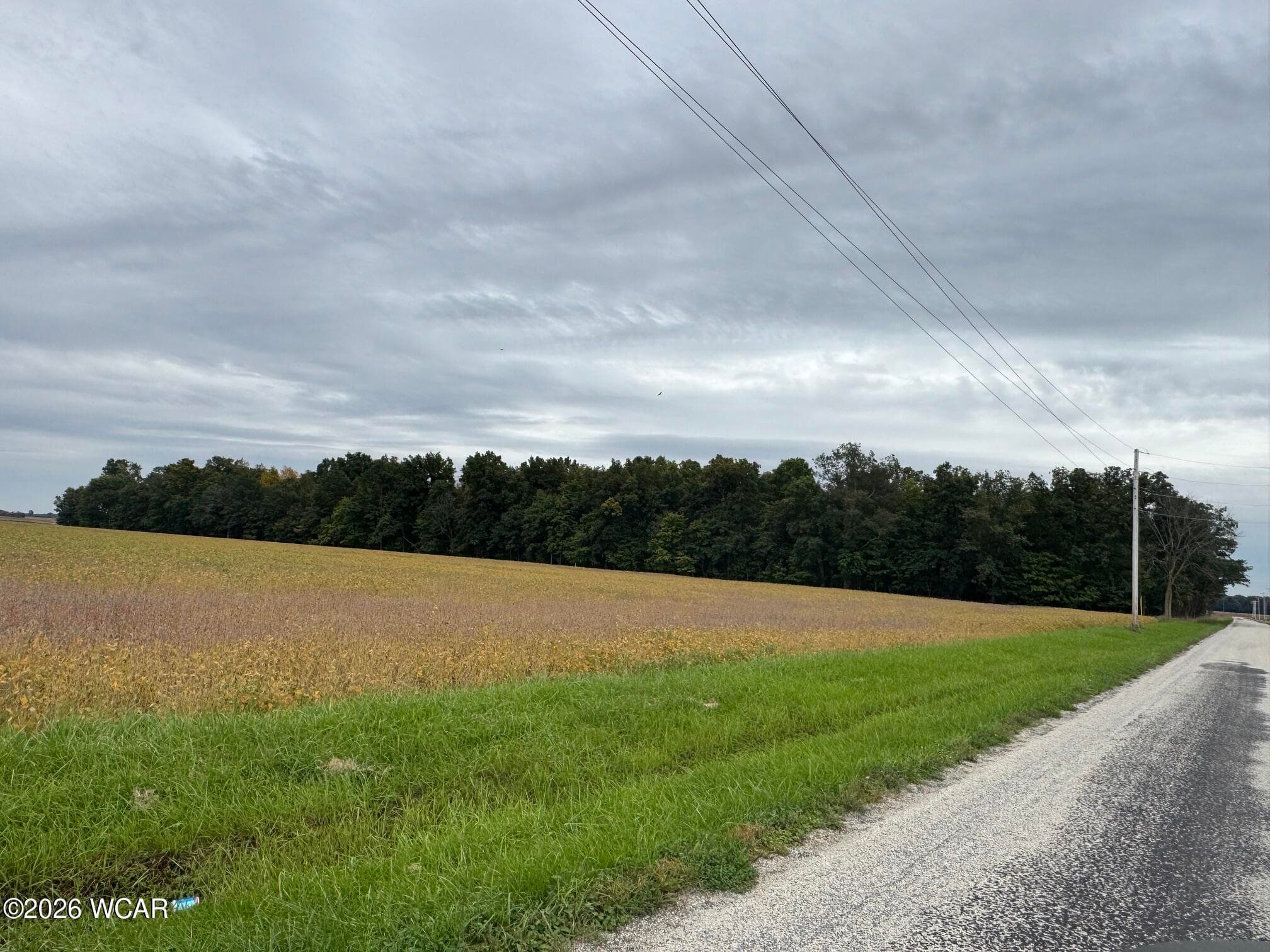 0 County Road 159 photo 4
