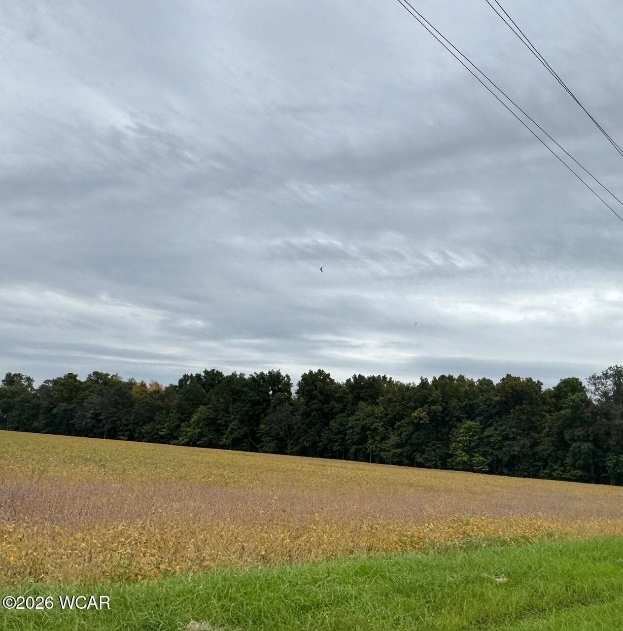 0 County Road 159 photo 2