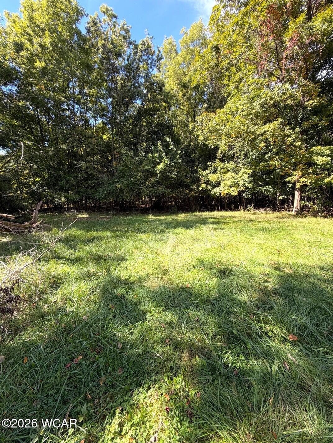 11455 Snider photo 4