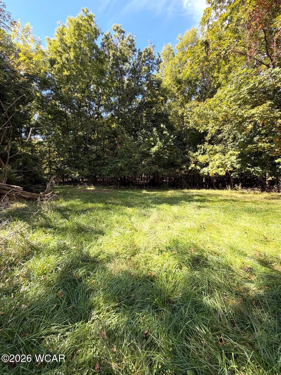 11455 Snider photo 5