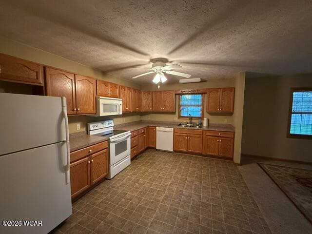312 Williams photo 4